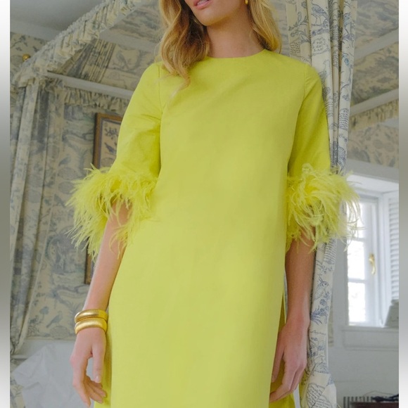 Citron Feather Jamie Dress Tuckernuck NEW - Picture 3 of 13